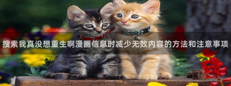 漫蛙漫画最新连载推荐